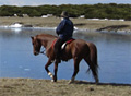 gredos a caballo